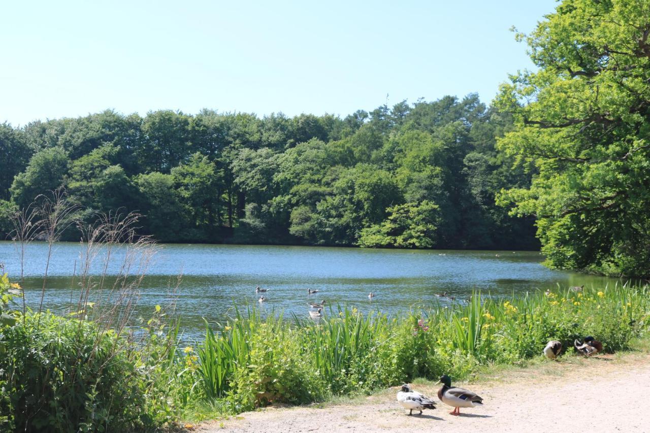 Seeblick